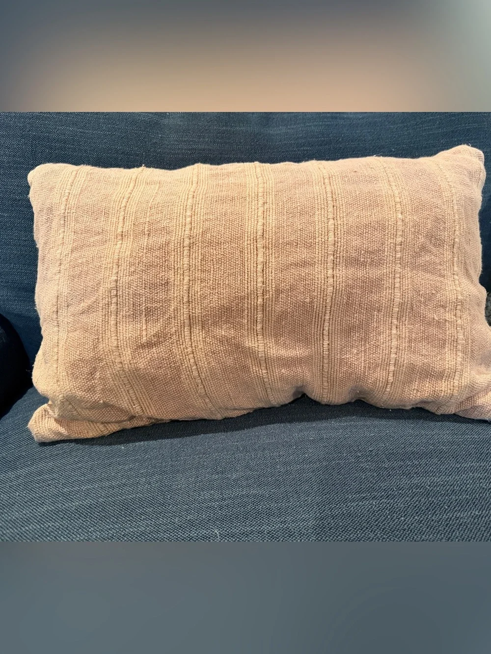 SET OF TWO Pottery Barn throw pillows